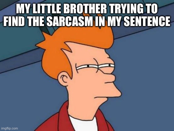 Futurama Fry | MY LITTLE BROTHER TRYING TO FIND THE SARCASM IN MY SENTENCE | image tagged in memes,futurama fry | made w/ Imgflip meme maker