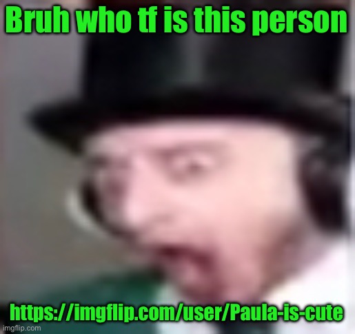 suprised | Bruh who tf is this person; https://imgflip.com/user/Paula-is-cute | image tagged in suprised | made w/ Imgflip meme maker