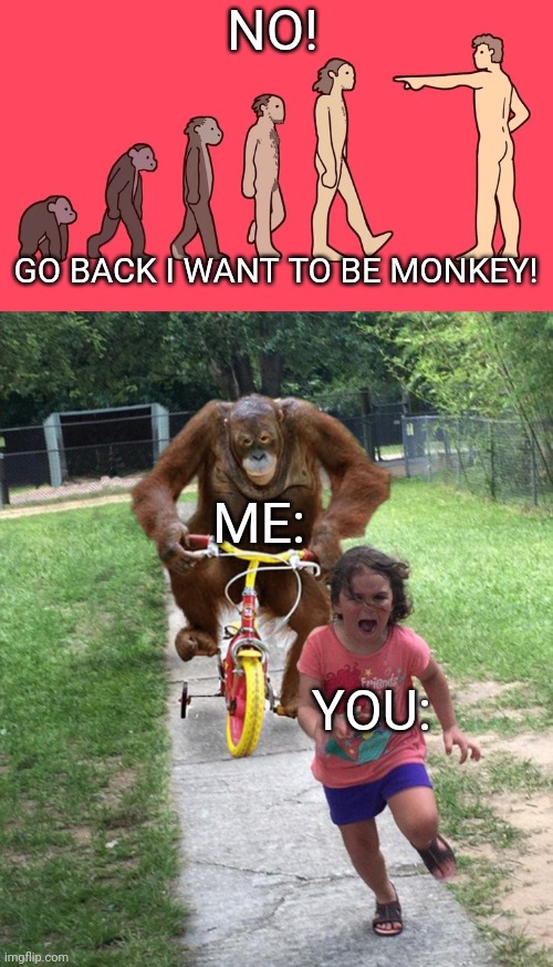 NO! GO BACK I WANT TO BE MONKEY! ME: YOU: | image tagged in go back i want to be monkie,orangutan chasing girl on a tricycle | made w/ Imgflip meme maker