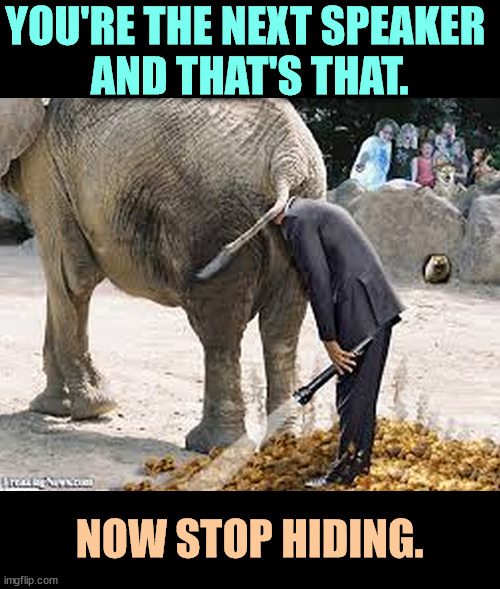 YOU'RE THE NEXT SPEAKER 
AND THAT'S THAT. NOW STOP HIDING. | image tagged in republican,speaker,house,representatives,elephant,flashlight | made w/ Imgflip meme maker