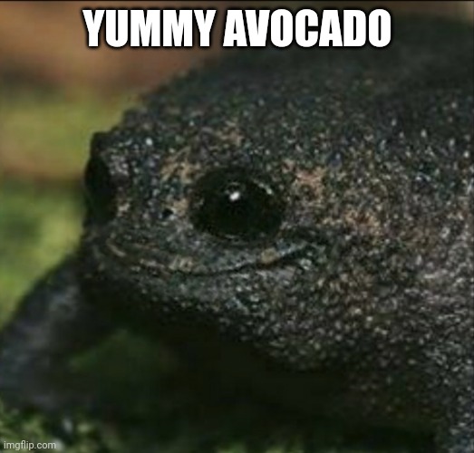 Cute Frog Smile | YUMMY AVOCADO | image tagged in cute frog smile | made w/ Imgflip meme maker