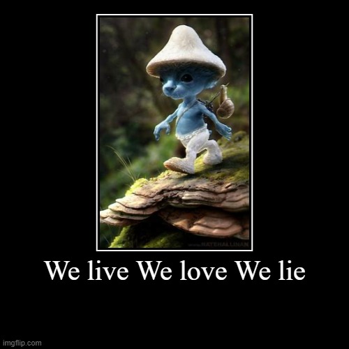 We live We love We lie | | image tagged in funny,demotivationals | made w/ Imgflip demotivational maker