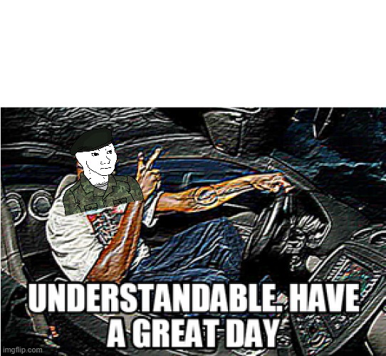 UNDERSTANDABLE, HAVE A GREAT DAY | image tagged in understandable have a great day | made w/ Imgflip meme maker