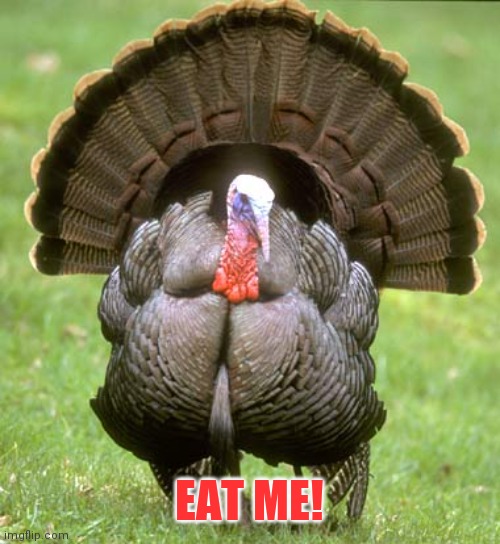 Turkey Meme | EAT ME! | image tagged in memes,turkey | made w/ Imgflip meme maker