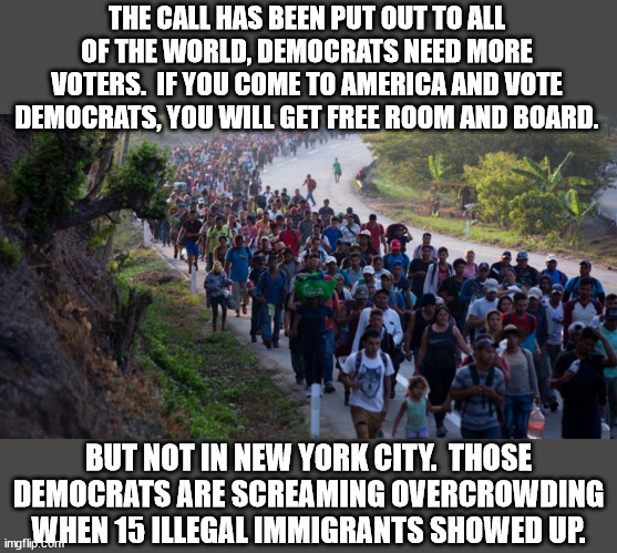 They screwed so badly last election that they are going to go back to one of their methods for getting more votes. | THE CALL HAS BEEN PUT OUT TO ALL OF THE WORLD, DEMOCRATS NEED MORE VOTERS.  IF YOU COME TO AMERICA AND VOTE DEMOCRATS, YOU WILL GET FREE ROOM AND BOARD. BUT NOT IN NEW YORK CITY.  THOSE DEMOCRATS ARE SCREAMING OVERCROWDING WHEN 15 ILLEGAL IMMIGRANTS SHOWED UP. | image tagged in democrat voters,ilegal immigration,drug trafficking,human traficking | made w/ Imgflip meme maker
