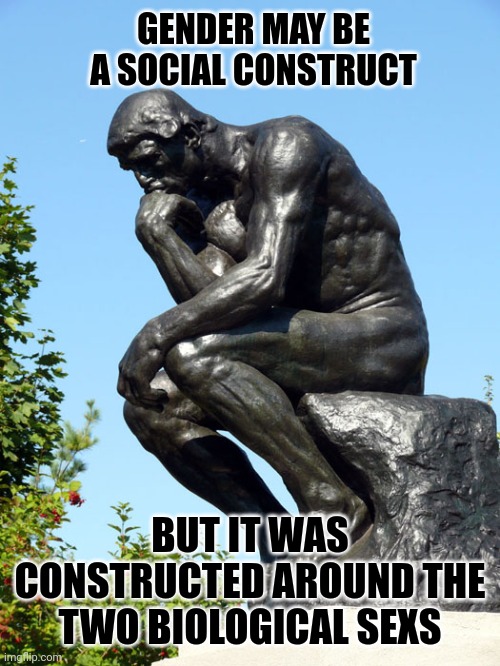 The Thinker | GENDER MAY BE A SOCIAL CONSTRUCT; BUT IT WAS CONSTRUCTED AROUND THE TWO BIOLOGICAL SEXS | image tagged in the thinker | made w/ Imgflip meme maker