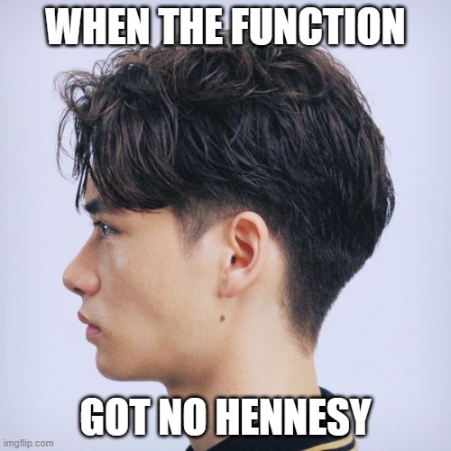 Function | WHEN THE FUNCTION; GOT NO HENNESY | image tagged in funny | made w/ Imgflip meme maker