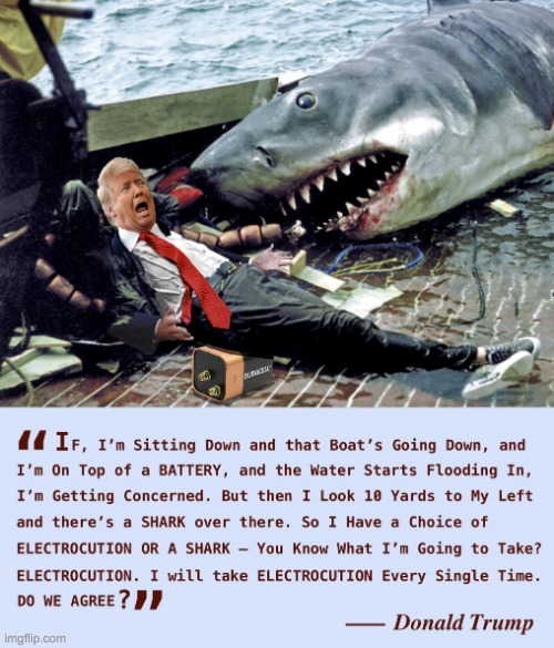 Trump Electrocution or a Shark Quote Meme | image tagged in trump electrocution or a shark quote meme | made w/ Imgflip meme maker