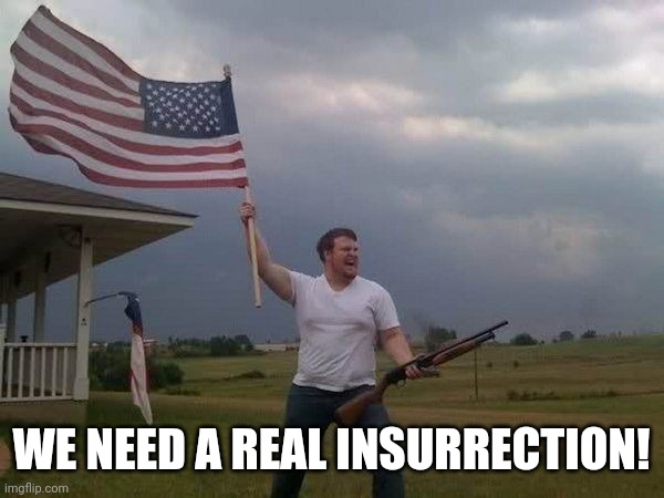 American flag shotgun guy | WE NEED A REAL INSURRECTION! | image tagged in american flag shotgun guy | made w/ Imgflip meme maker