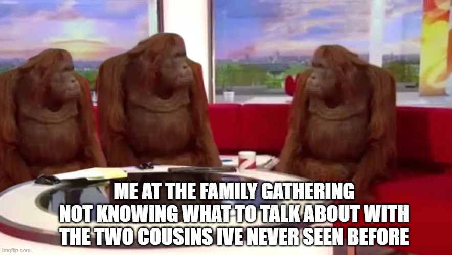 Awkward family gathering | ME AT THE FAMILY GATHERING NOT KNOWING WHAT TO TALK ABOUT WITH THE TWO COUSINS IVE NEVER SEEN BEFORE | image tagged in where monkey | made w/ Imgflip meme maker