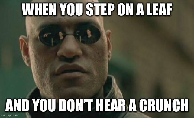 Matrix Morpheus | WHEN YOU STEP ON A LEAF; AND YOU DON’T HEAR A CRUNCH | image tagged in memes,matrix morpheus | made w/ Imgflip meme maker
