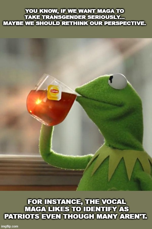 But That's None Of My Business | YOU KNOW, IF WE WANT MAGA TO TAKE TRANSGENDER SERIOUSLY... MAYBE WE SHOULD RETHINK OUR PERSPECTIVE. FOR INSTANCE, THE VOCAL MAGA LIKES TO IDENTIFY AS PATRIOTS EVEN THOUGH MANY AREN'T. | image tagged in memes,but that's none of my business,kermit the frog,maga,terrorists,identity politics | made w/ Imgflip meme maker
