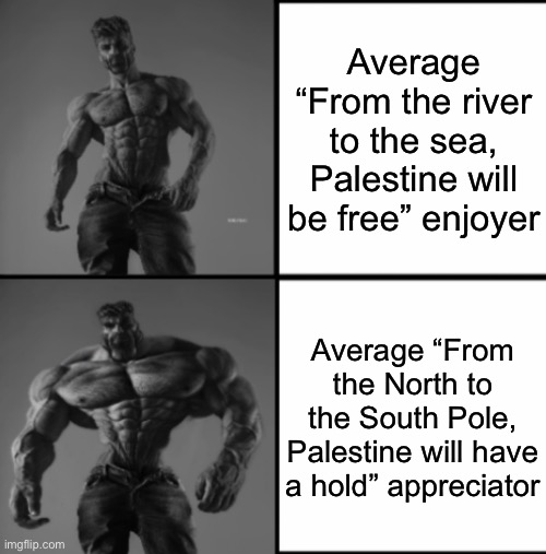 Jerusalem is no longer enough | Average “From the river to the sea, Palestine will be free” enjoyer; Average “From the North to the South Pole, Palestine will have a hold” appreciator | image tagged in chad chadder | made w/ Imgflip meme maker