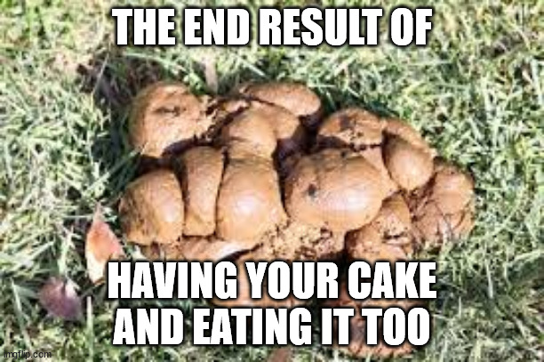 THE END RESULT OF; HAVING YOUR CAKE
AND EATING IT TOO | image tagged in no shit | made w/ Imgflip meme maker