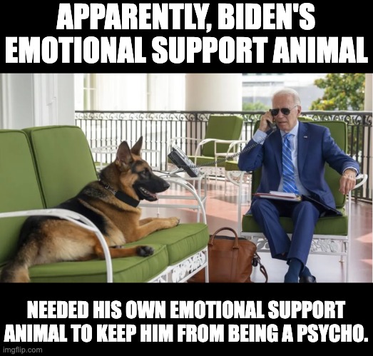 Psycho dog | APPARENTLY, BIDEN'S EMOTIONAL SUPPORT ANIMAL; NEEDED HIS OWN EMOTIONAL SUPPORT ANIMAL TO KEEP HIM FROM BEING A PSYCHO. | image tagged in joe biden | made w/ Imgflip meme maker