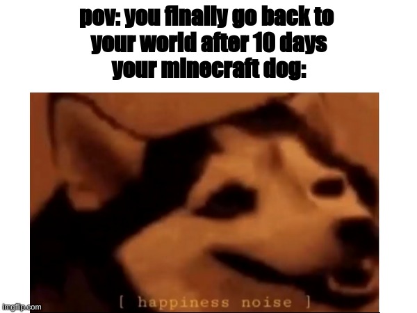 i love how they wait solong just for you :) | pov: you finally go back to 
your world after 10 days
your minecraft dog: | image tagged in minecraft,dogs,minecraft dogs,never gonna give you up | made w/ Imgflip meme maker
