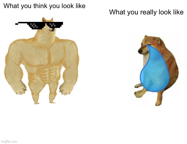 Buff Doge vs. Cheems Meme | What you think you look like; What you really look like | image tagged in memes,buff doge vs cheems | made w/ Imgflip meme maker