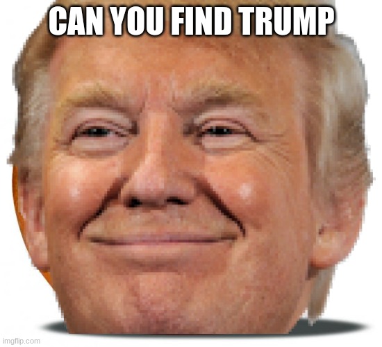 CAN YOU FIND TRUMP | made w/ Imgflip meme maker