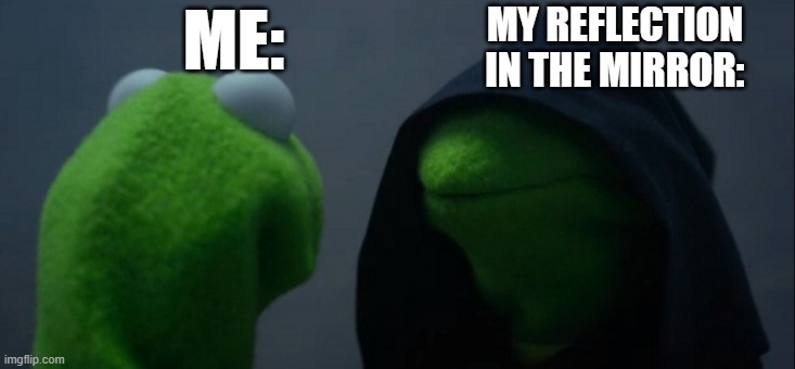 the differance | MY REFLECTION IN THE MIRROR:; ME: | image tagged in memes,evil kermit | made w/ Imgflip meme maker