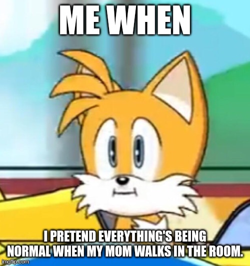 Tails hold up | ME WHEN; I PRETEND EVERYTHING'S BEING NORMAL WHEN MY MOM WALKS IN THE ROOM. | image tagged in tails hold up | made w/ Imgflip meme maker