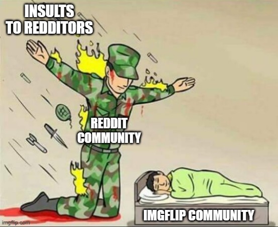 shhhhh they dont know were here | INSULTS TO REDDITORS; REDDIT COMMUNITY; IMGFLIP COMMUNITY | image tagged in soldier protecting sleeping child | made w/ Imgflip meme maker