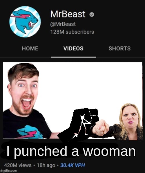 MrBeast thumbnail template | I punched a wooman | image tagged in mrbeast thumbnail template | made w/ Imgflip meme maker