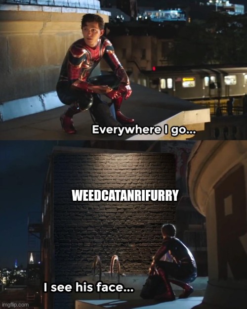 Everywhere I go I see his face | WEEDCATANRIFURRY | image tagged in everywhere i go i see his face | made w/ Imgflip meme maker