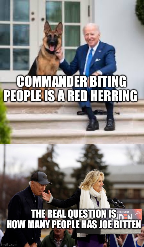 At least the dog has an excuse. | COMMANDER BITING PEOPLE IS A RED HERRING; THE REAL QUESTION IS HOW MANY PEOPLE HAS JOE BITTEN | image tagged in biden finger,politics,stupid liberals,joe biden,dementia,abuse | made w/ Imgflip meme maker