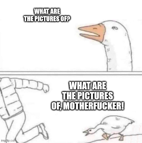 Goose Chase | WHAT ARE THE PICTURES OF? WHAT ARE THE PICTURES OF, MOTHERFUCKER! | image tagged in goose chase | made w/ Imgflip meme maker