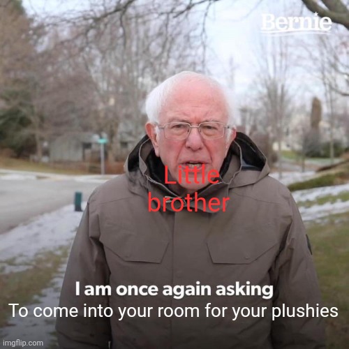 Bernie I Am Once Again Asking For Your Support Meme | Little brother; To come into your room for your plushies | image tagged in memes,bernie i am once again asking for your support | made w/ Imgflip meme maker