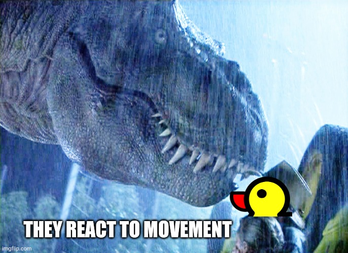 Dont move | THEY REACT TO MOVEMENT | image tagged in dont move | made w/ Imgflip meme maker