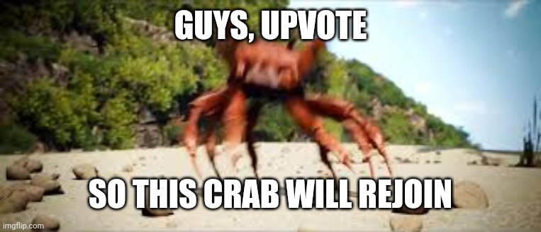 crab rave | GUYS, UPVOTE SO THIS CRAB WILL REJOIN | image tagged in crab rave | made w/ Imgflip meme maker