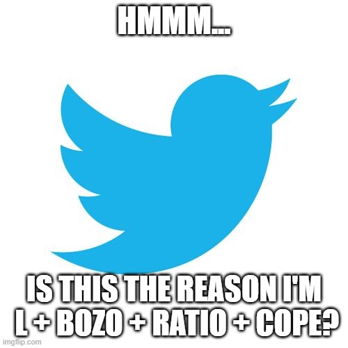 Tweet tweet | HMMM... IS THIS THE REASON I'M  L + BOZO + RATIO + COPE? | image tagged in twitter birds says | made w/ Imgflip meme maker