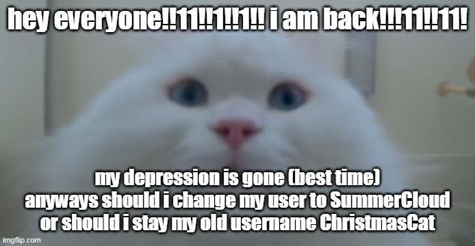 I AM BACK!!!!!!!!!!!!!!!!!!!!!!!!!!!!!!!!!!!!!!!!!!!!!!!!!!!!!!!!!!!!!!!!!!!!!!!!!!!!!!!!!!!!!!!!!!!!!!!!!!!!!!!! | hey everyone!!11!!1!!1!! i am back!!!11!!11! my depression is gone (best time)
anyways should i change my user to SummerCloud or should i stay my old username ChristmasCat | image tagged in coco cat,why | made w/ Imgflip meme maker