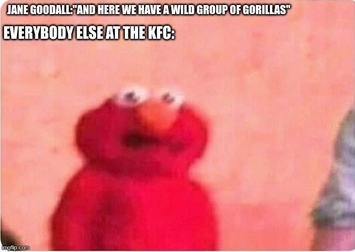 Sickened elmo | EVERYBODY ELSE AT THE KFC:; JANE GOODALL:"AND HERE WE HAVE A WILD GROUP OF GORILLAS" | image tagged in sickened elmo | made w/ Imgflip meme maker