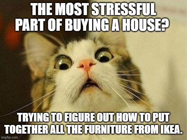 IKEA | THE MOST STRESSFUL PART OF BUYING A HOUSE? TRYING TO FIGURE OUT HOW TO PUT TOGETHER ALL THE FURNITURE FROM IKEA. | image tagged in memes,scared cat | made w/ Imgflip meme maker