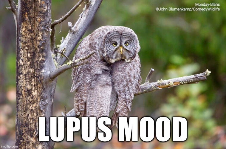 Lupus Mood | LUPUS MOOD | image tagged in mood,pain,tired,illness,sickness | made w/ Imgflip meme maker