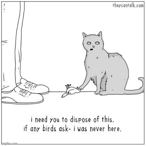 ...or EAT it, like any other cat | made w/ Imgflip meme maker