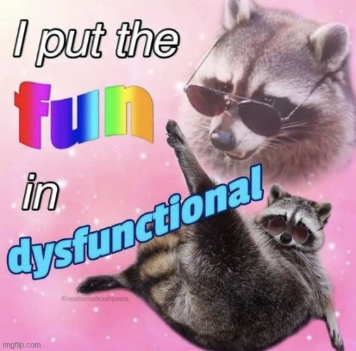 image tagged in raccoon,dysfunctional,funny | made w/ Imgflip meme maker