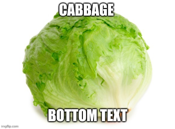 CABBAGE BOTTOM TEXT | made w/ Imgflip meme maker