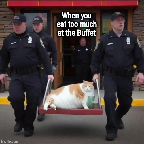 "All you can eat" is a challenge | When you eat too much at the Buffet | image tagged in i can do anything,come at me bro,eating,challenge accepted,fat cat,help i accidentally | made w/ Imgflip meme maker