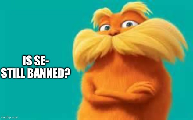 Actually | IS SE- STILL BANNED? | image tagged in lorax,memes,funny | made w/ Imgflip meme maker