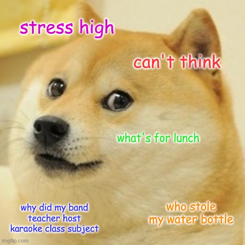 My brain when I'm doing schoolwork | stress high; can't think; what's for lunch; why did my band teacher host karaoke class subject; who stole my water bottle | image tagged in memes,doge | made w/ Imgflip meme maker