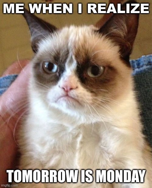 Grumpy Cat | ME WHEN I REALIZE; TOMORROW IS MONDAY | image tagged in memes,grumpy cat | made w/ Imgflip meme maker
