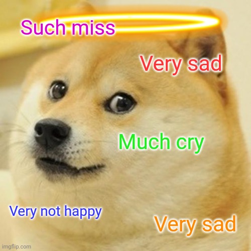 We will miss you doge/cheems | Such miss; Very sad; Much cry; Very not happy; Very sad | image tagged in memes,doge | made w/ Imgflip meme maker
