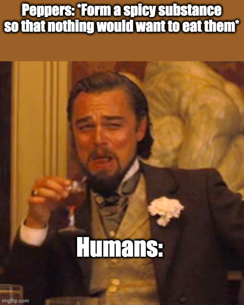 Humans are superior | Peppers: *Form a spicy substance so that nothing would want to eat them*; Humans: | image tagged in memes,laughing leo,funny,so true memes | made w/ Imgflip meme maker