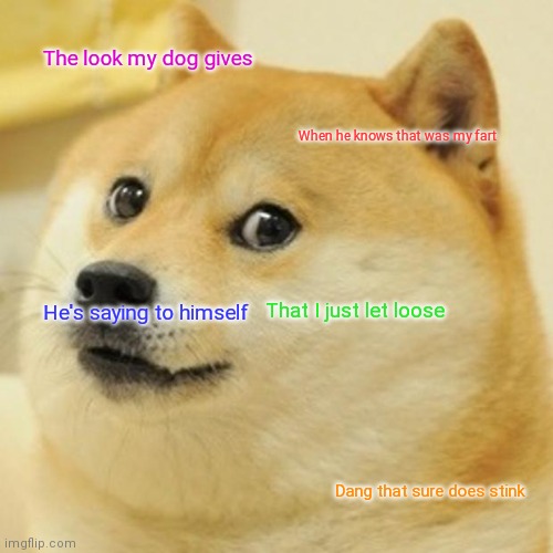 Dog smells fart | The look my dog gives; When he knows that was my fart; That I just let loose; He's saying to himself; Dang that sure does stink | image tagged in memes,doge,funny memes | made w/ Imgflip meme maker
