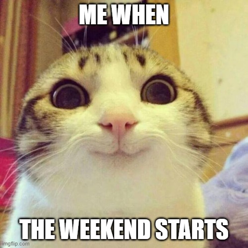 i love weekends | ME WHEN; THE WEEKEND STARTS | image tagged in memes,smiling cat,weekend,yay it's friday | made w/ Imgflip meme maker