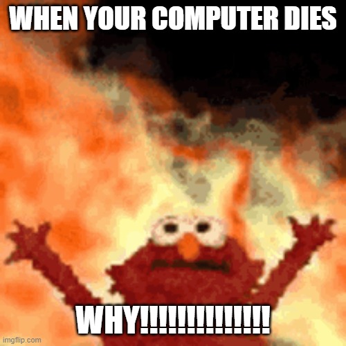 elmo | WHEN YOUR COMPUTER DIES; WHY!!!!!!!!!!!!!! | image tagged in elmo | made w/ Imgflip meme maker