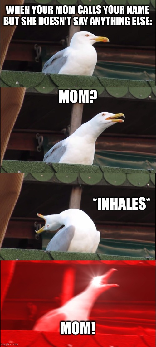 Inhaling Seagull | WHEN YOUR MOM CALLS YOUR NAME BUT SHE DOESN'T SAY ANYTHING ELSE:; MOM? *INHALES*; MOM! | image tagged in inhaling seagull,relatable,moms be like | made w/ Imgflip meme maker